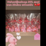 Zondag 12 februari 2023 – Valentijnsloop @ De Villa